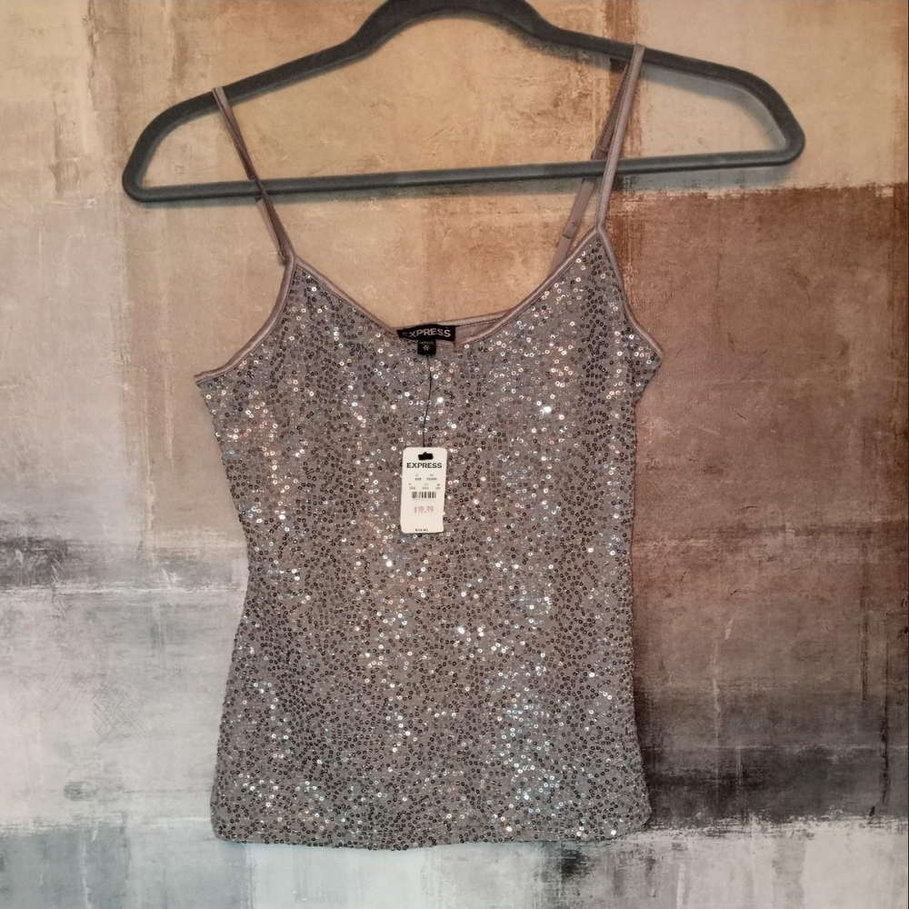 Express Silver Sequin Camisole